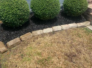 Bush Trimming by Gary Allen for Charles H. in New Orleans, LA