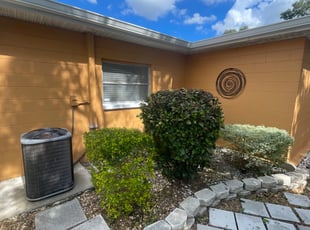 Bush Trimming by Ramon Taguja for Barbara H. in Tampa, FL