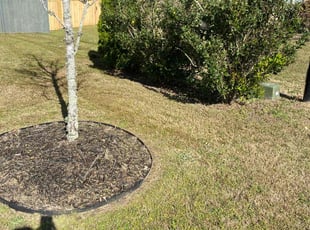 Bush Trimming by Patrick Martin for Teresa W. in Blythewood, SC