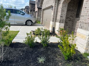 Bush Trimming by Keyri Elizabeth Ventura Vaquiz for Constance K. in Katy, TX