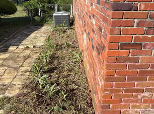 Weeding by Antonio Rhodes for Bruce W. in Augusta, GA