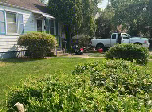 Bush Trimming by Ace Morris for Tanya L. in Hyattsville, MD