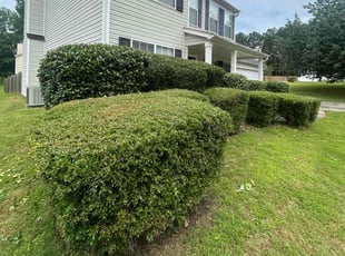 Bush Trimming by Dutch Lawn Care for Simone B. in Dacula, GA