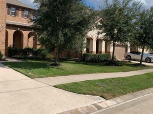 Diadra H.'s Lawn Mowing service result
