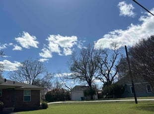 Maurice D.'s Lawn Care service result