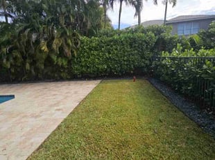Donna H.'s Lawn Mowing service result