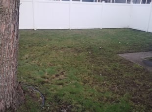 Cleanups by Jered Westveld for Linda M. in Grand Rapids, MI