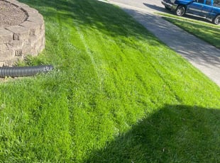 Autumn V.'s Lawn Care service result
