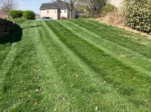 Leigh S.'s Yard Cutting service result