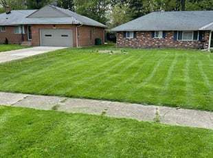 David D.'s Lawn Care service result