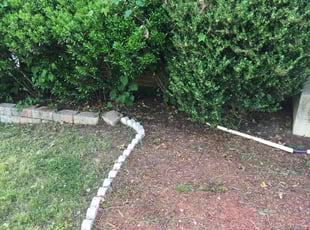 Leaf Removal by Jose Salguero for Jeong P. in Woodbridge, VA