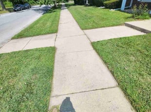 Lorrie C.'s Lawn Mowing service result