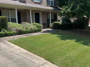 Bush Trimming by Mark King for shantelle S. in Loganville, GA