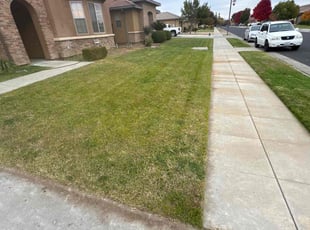 Jason B.'s Lawn Service service result