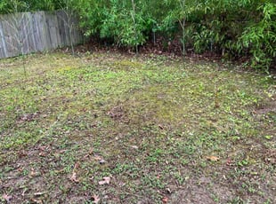 Ronald P.'s Leaf Removal service result