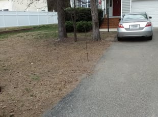 Leaf Removal by Arthur Haskins for Jason W. in Richmond, VA