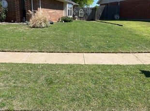 Yvonne N.'s Lawn Mowing Service service result