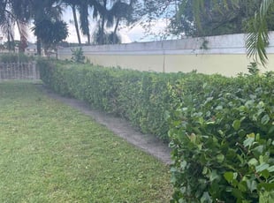 Bush Trimming by Charles Walton for Kathryn C. in West Palm Beach, FL