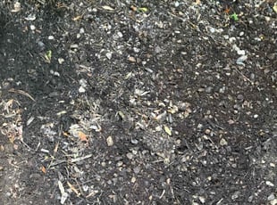 Weeding by Johnny Canales for TAMIKQUE E. in Cheshire, CT