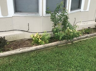 Landscaping by Dan Rhue for Teresa G. in Wichita, KS