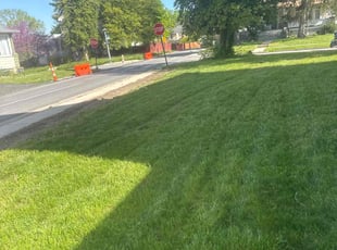 Lucien W.'s Lawn Care service result
