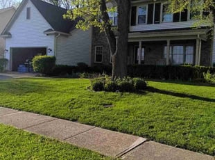 Michael R.'s Lawn Care service result