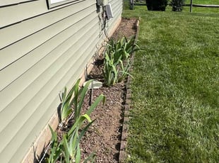 Weeding by Amilcar Flores for Luke A. in Woodbridge, VA