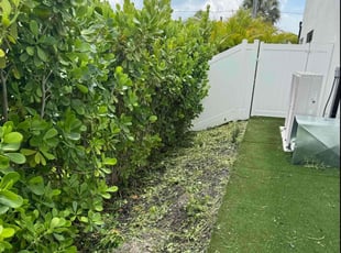 Weeding by David Scheafnocker for Sara M. in Naples, FL