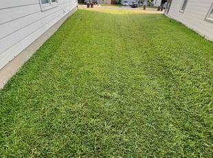Cynthia C.'s Lawn Mowing Service service result