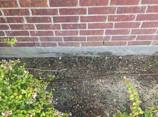 Weeding by James Turner for Sean Y. in Crandall, TX