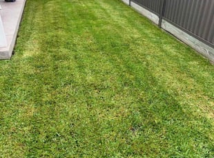 Mark S.'s Lawn Mowing Service service result