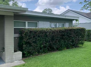 Bush Trimming by Hector Mieles for Amanda L. F. in Orlando, FL