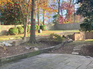 Leaf Removal by Jose M Rodriguez for Kathleen N. in Alexandria, VA