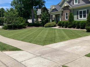 Alvin H.'s Lawn Care service result