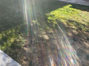 Leaf Removal by Eugenio Pรฉrez for Alan G. in Denver, CO