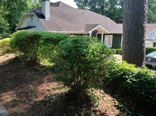 Bush Trimming by Noel Gilbert for Betsy H. in Atlanta, GA