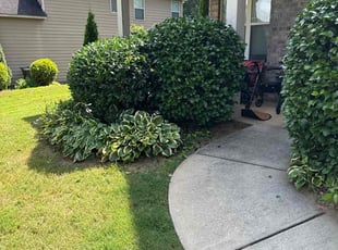 Bush Trimming by Jeremy Waller for Tanisha T. in Acworth, GA