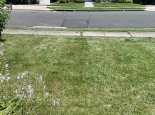 Brock R.'s Lawn Care service result