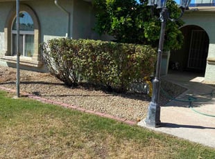 Bush Trimming by Sherman McGuire for Mike A. in Glendale, AZ