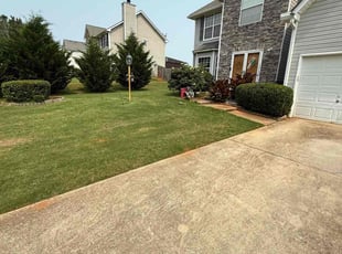 Bush Trimming by B J for Ann B. in McDonough, GA