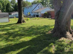 Christopher S.'s Grass Cutting service result