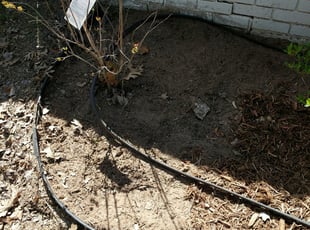 Weeding by Muhammad Rasheed for Tara G. in Norman, OK