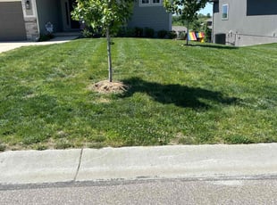 Heather G.'s Lawn Mowing service result
