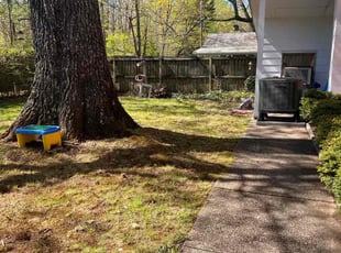 Leaf Removal by Jose M Rodriguez for Meskir K. in Lorton, VA