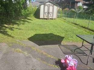 Linda L.'s Lawn Mowing Service service result