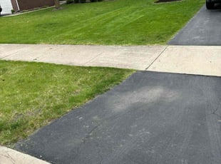 Bianca S.'s Lawn Maintenance service result