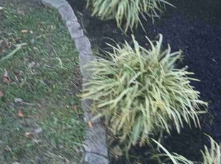 Mulching by Chris Slone for Jake S. in Louisville, KY