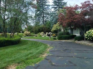 Mike P.'s Lawn Mowing service result