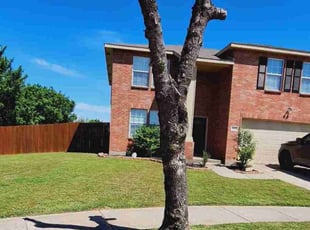 Albertus B.'s Yard Cutting service result