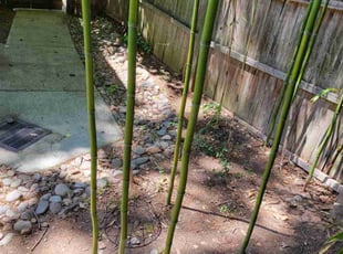 Cleanups by Edwin Villagran for Sharon R. in Bethesda, MD